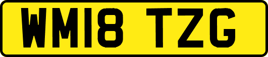 WM18TZG