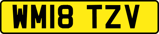 WM18TZV
