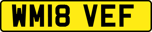 WM18VEF