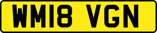 WM18VGN