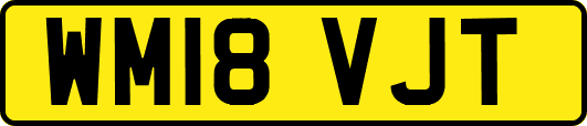 WM18VJT