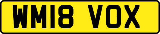 WM18VOX