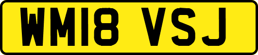 WM18VSJ
