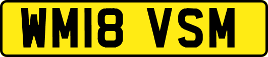 WM18VSM