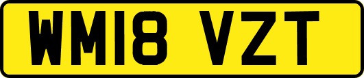WM18VZT