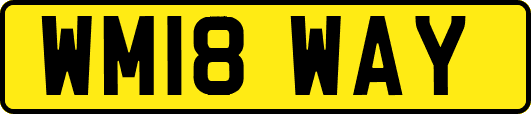 WM18WAY