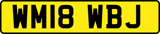 WM18WBJ