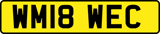 WM18WEC