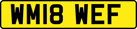 WM18WEF