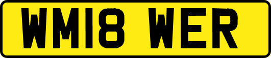 WM18WER