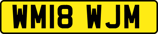 WM18WJM