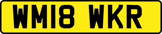 WM18WKR