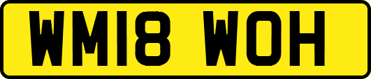 WM18WOH
