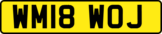 WM18WOJ