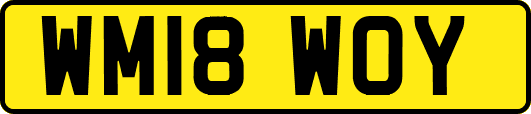WM18WOY