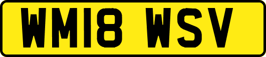 WM18WSV