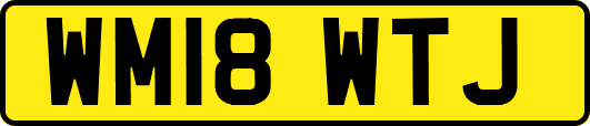 WM18WTJ