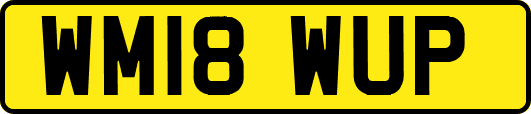 WM18WUP