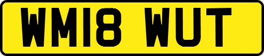 WM18WUT
