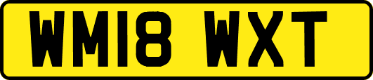 WM18WXT