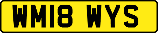WM18WYS