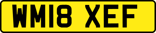 WM18XEF