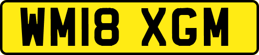 WM18XGM