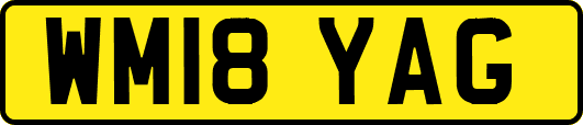 WM18YAG