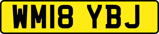 WM18YBJ