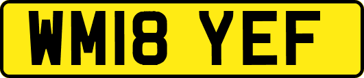 WM18YEF