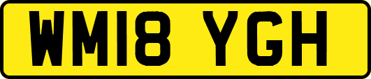 WM18YGH