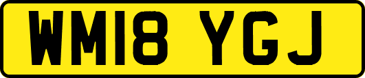 WM18YGJ