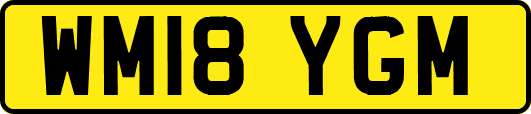WM18YGM