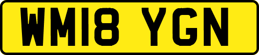 WM18YGN