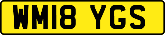 WM18YGS