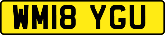 WM18YGU