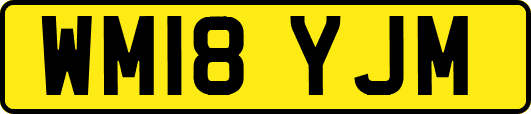WM18YJM