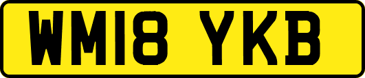 WM18YKB