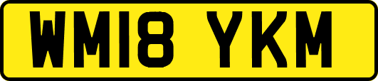 WM18YKM