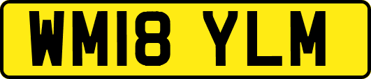 WM18YLM