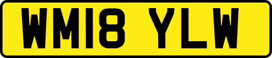 WM18YLW