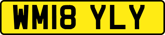 WM18YLY