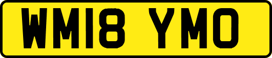 WM18YMO