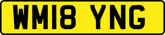 WM18YNG