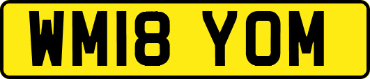 WM18YOM