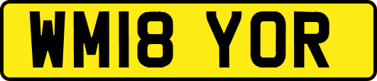 WM18YOR