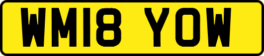 WM18YOW