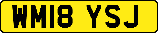 WM18YSJ