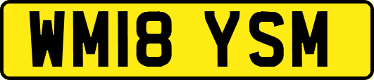 WM18YSM