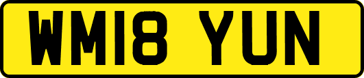 WM18YUN